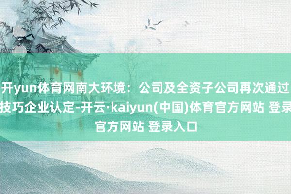 开yun体育网南大环境：公司及全资子公司再次通过高新技巧企业认定-开云·kaiyun(中国)体育官方