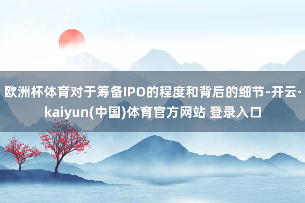 欧洲杯体育对于筹备IPO的程度和背后的细节-开云·kaiyun(中国)体育官方网站 登录入口