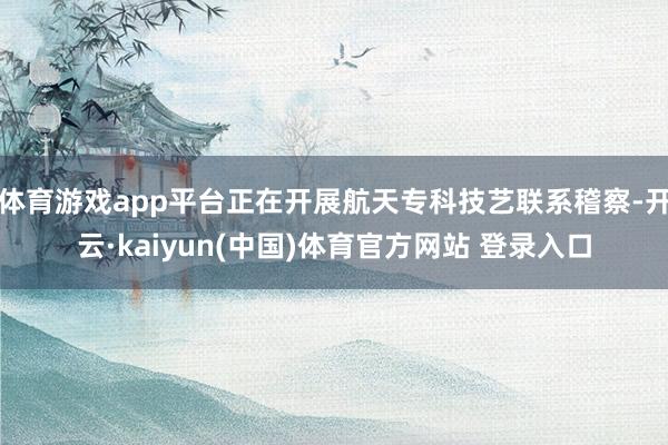 体育游戏app平台正在开展航天专科技艺联系稽察-开云·kaiyun(中国)体育官方网站 登录入口